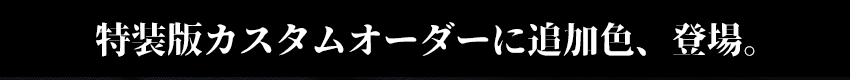 鎧カスタムオーダー