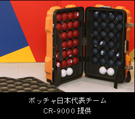 ボッチャ日本代表チーム