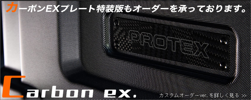 カーボンEXプレート特装版