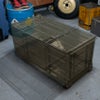AFC-106 OD色